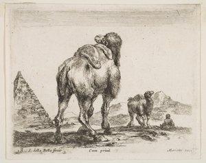 Tafel 18: Kamel von hinten gesehen mit Pyramide links, aus Verschiedene Tiere Diversi animali, ca. 1641