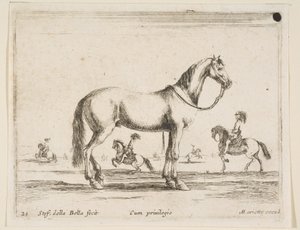 Tafel 21: Pferd, aus Verschiedene Tiere Diversi animali, 1641 von Stefano della Bella