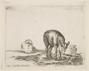 Tafel 24: Esel, aus Verschiedene Tiere, ca. 1641 von Stefano della Bella