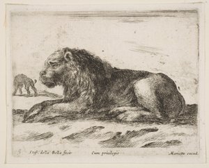 Tafel 5: liegender Löwe, aus Verschiedene Tiere Diversi animali, 1641 von Stefano della Bella