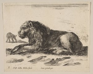 Tafel 5: liegender Löwe, aus Verschiedene Tiere Diversi animali, ca. 1641 von Stefano della Bella
