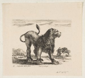 Tafel 6: Löwe, aus 