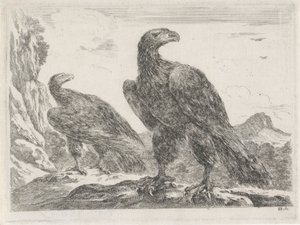 Zwei Adler mit Köpfen nach rechts
