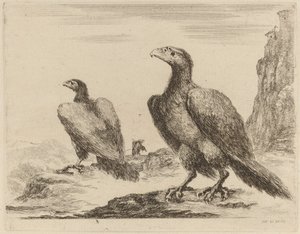 Zwei Adler, beide mit Köpfen nach links gedreht, auf einer hohen Klippe von Stefano della Bella