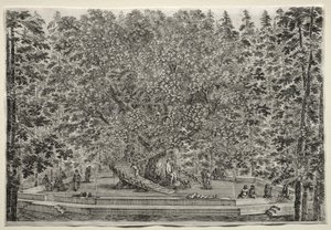 Ansichten der Villa von Pratolino: Der bewohnte Baum von Stefano della Bella