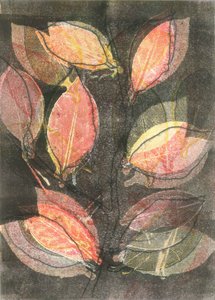 Mitternachtsgarten V