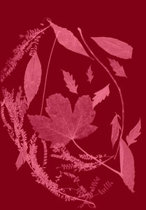 Rotes Laub