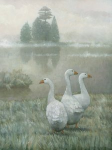 Weiße Gänse im Morgennebel