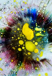 Tie-Dye-Spritzer, 2024