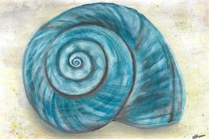 Blaues Spiralschneckenhaus