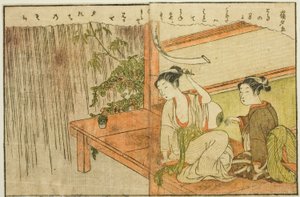Doppelseitige Illustration aus Bd. 2 von "Bilderbuch der Frühlingsbrokate (Ehon haru no nishiki)" von Suzuki Harunobu
