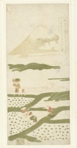 Reispflanzer von Suzuki Harunobu