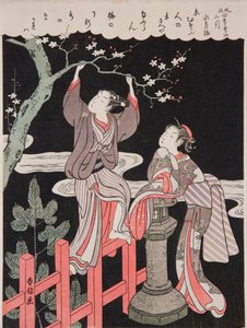 Frühling (Februar). Jüngling, der einen blühenden Pflaumenzweig für seine Geliebte pflückt, aus der Serie: Vornehme Gedichte der vier Jahreszeiten von Suzuki Harunobu