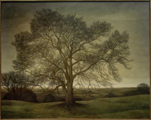 Landschaft 1901 von Svend Hammershöi
