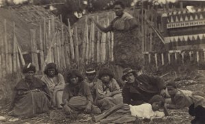 Im Pawhakiro Pa, Hawkes Bay, Neuseeland, ca. 1865 von Swan and Wrigglesworth