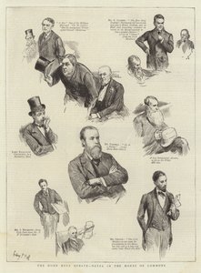 Die Home-Rule-Debatte, Notizen im Unterhaus von Sydney Prior Hall