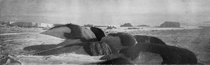 Granitblöcke, die von alten Gletschern am Kap Roberts gehobelt wurden, ca. 1911, 1913