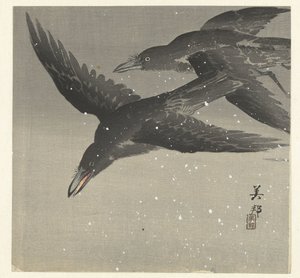 Krähen im Schnee