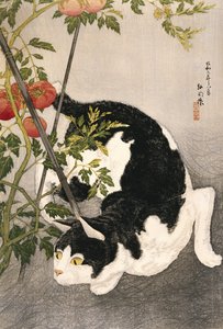 Katze schleicht um eine gestützte Tomatenpflanze, 1931