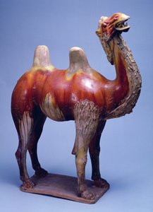 Kamel, Tang-Dynastie