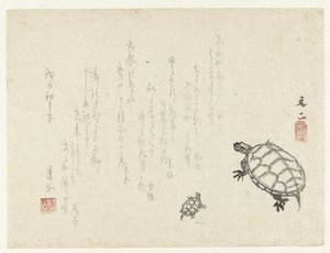 Zwei Schildkröten von Tani Bunji