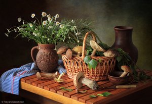 Herbstpilz-Stillleben von Tatyana Skorokhod