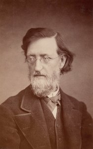 Porträt von John Peter Lesley von Taylor and Brown