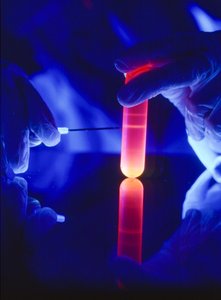 Extraktion von Nukleotiden der RNA aus einem Kunststoff-Zentrifugenröhrchen