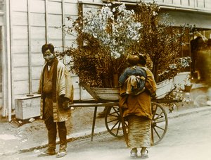 Wandernder Blumenverkäufer in den Straßen von Tokio, um 1900 - 1915