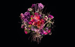 Blumenstrauß VIIII, 2018