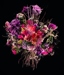 Lila Bouquet