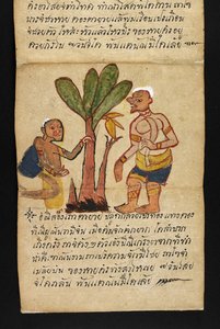 Satra über Wahrsagerei und Ratschläge für ein glückliches und gesundes Leben (Papierfaltbuch) von Thai School