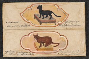 Siamkatzen, Fol. 1: zwei Glückskatzen zur Unterstützung von Geschäft und Wohlstand, Or. 16797, f.1