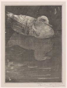 Schwimmende Ente von Theo van Hoytema (signed by artist)