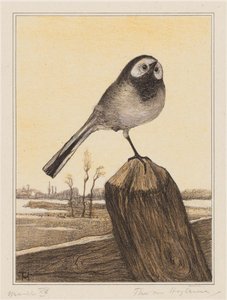 Bachstelze auf einem Pfahl von Theo van Hoytema (signed by artist)