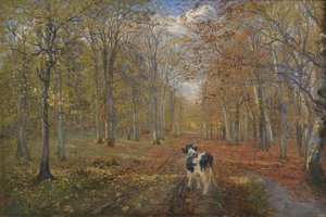 Ein Weg im Dyrehaven. Herbst