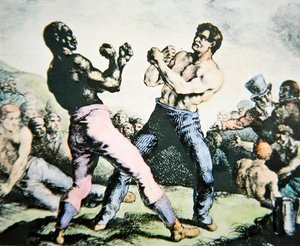 Die Boxer