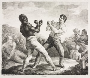 Boxer