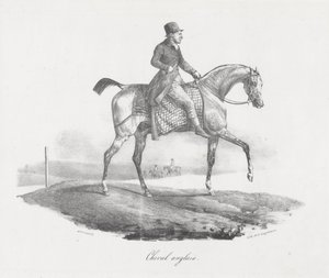 Englisches Pferd von Theodore Gericault