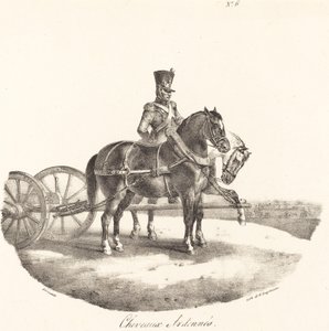 Pferde aus den Ardennen