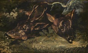Köpfe von Rehen, 1815 von Theodore Gericault