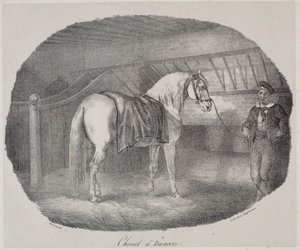 Pferd aus Hannover von Theodore Gericault