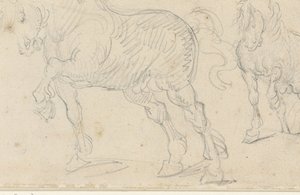 Pferdestudien von Theodore Gericault