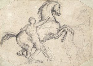 Steigender Hengst, gehalten von einem nackten Mann von Theodore Gericault