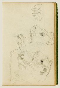 Studien des Kopfes und der Vorderbeine einer Löwin von Theodore Gericault