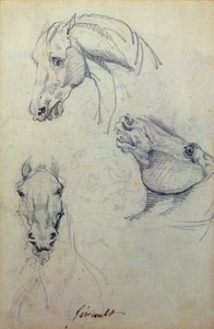 Drei Pferdeköpfe von Theodore Gericault