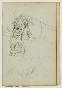 Drei Löwenstudien von Theodore Gericault