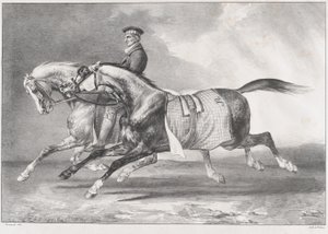 Zwei Apfelschimmel beim Training von Theodore Gericault