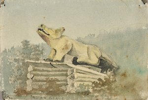 Indianergrab. Wolfstotem über Medizinmann-Grab, Wrangell von Theodore J. Richardson