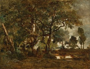 Wald von Fontainebleau, Gruppe hoher Bäume mit Blick auf die Ebene von Clair-Bois am Rand von Bas-Bréau von Theodore Rousseau
